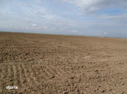 Teren extravilan Scurtu Mare, ID: R2928611