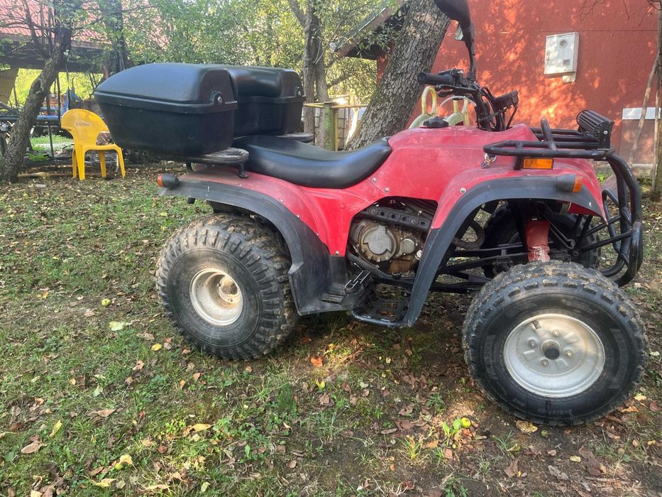 Atv Adly 300 cc an fabricatie 2004