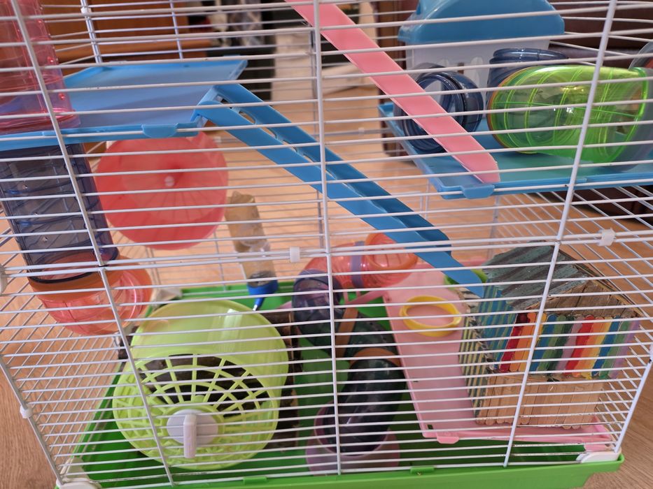 Cușcă pentru hamsteri