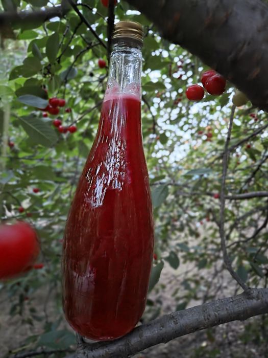 Sirop de vișine        .