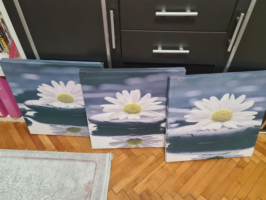 3 броя картини .