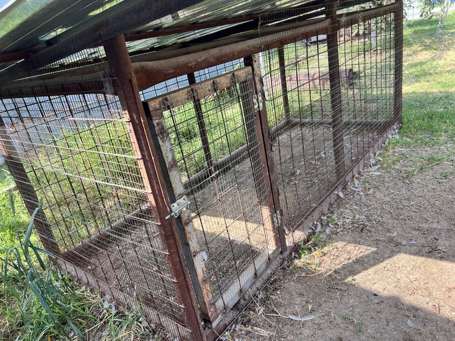 Клетка для циплят, кроликов,кур