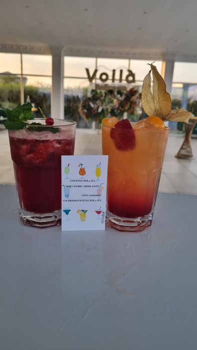Open bar/Tort Shot/Barman/Cocktail bar/bar mobil