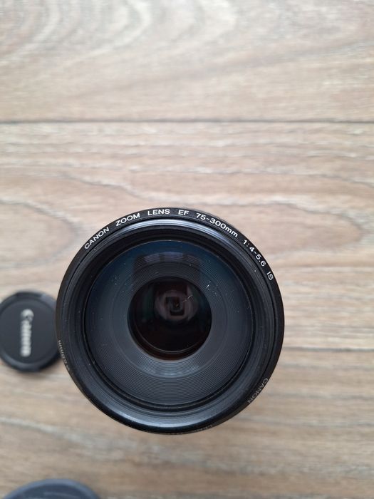 Obiectiv foto Canon 75-300mm IS USM