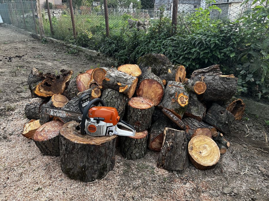 Vand stihl ms 231