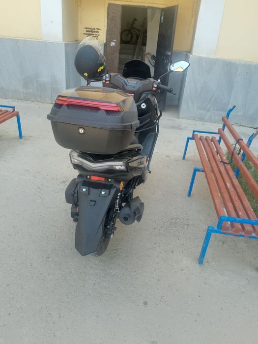 drongo sukuter Navoiy