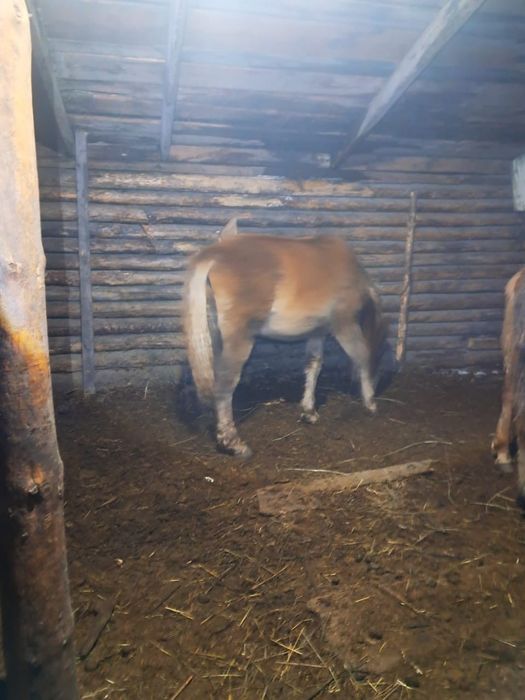 Сатылады обмен жоқ