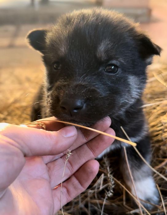 Мальчики и девочки