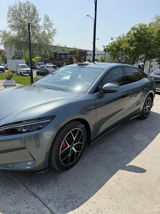 bivaydi han L gibirid