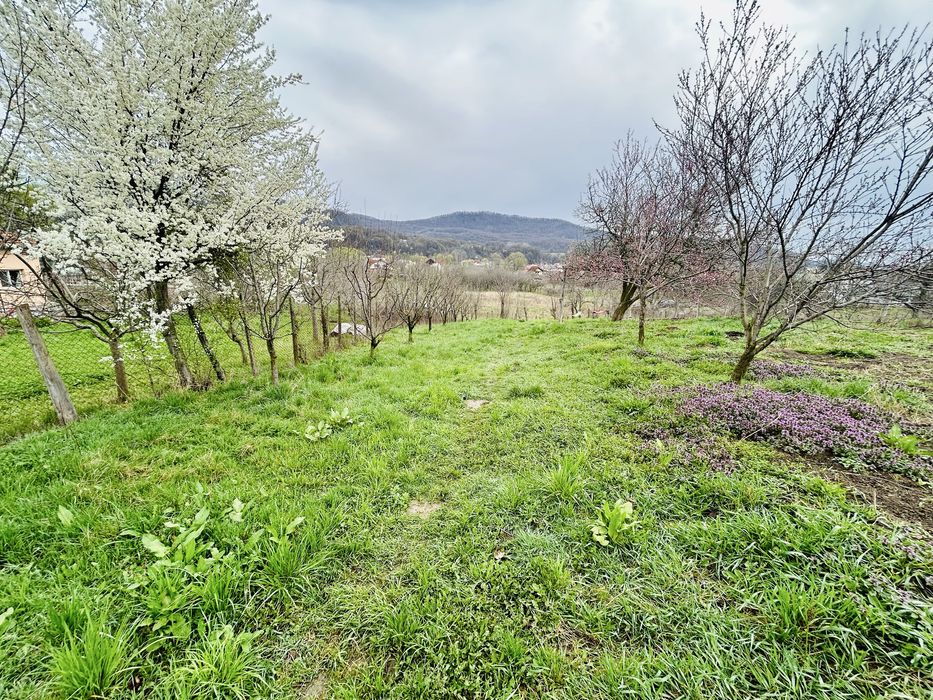 VÂND PROPRIETATE GENEROASĂ tip duplex, 1680 teren total.
