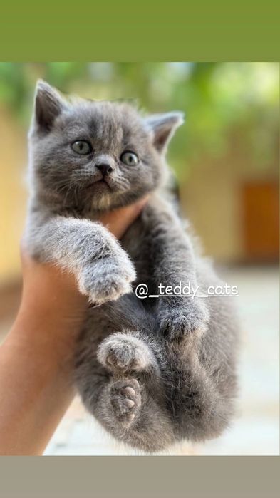 Tarjima bilan vintage porno xotini