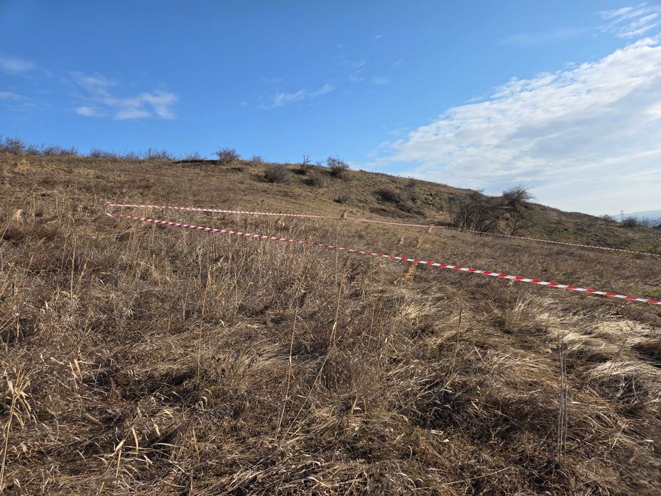 Teren de Vânzare Iris