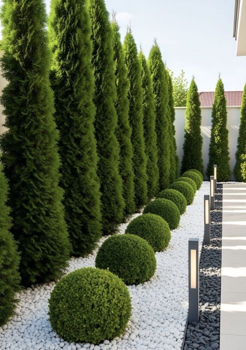 Gazon Газон Bogbon landshaft dizayn Боғбон ландшафт дизайн Садовник