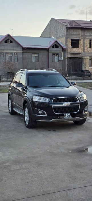 Каптива 3+ в родном окрасе 2015