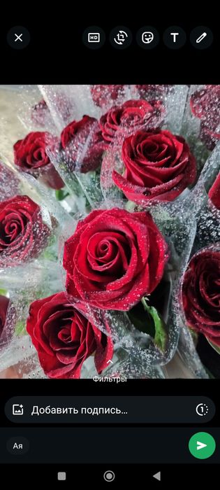 Метровые голандские розы