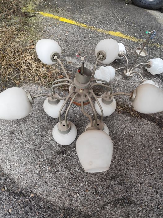 Полилей антика  два броя