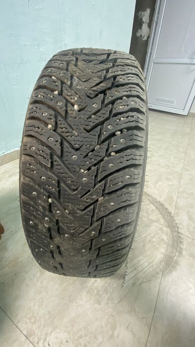 шины зима с шипами