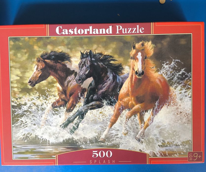 Пазлы 500 деталей