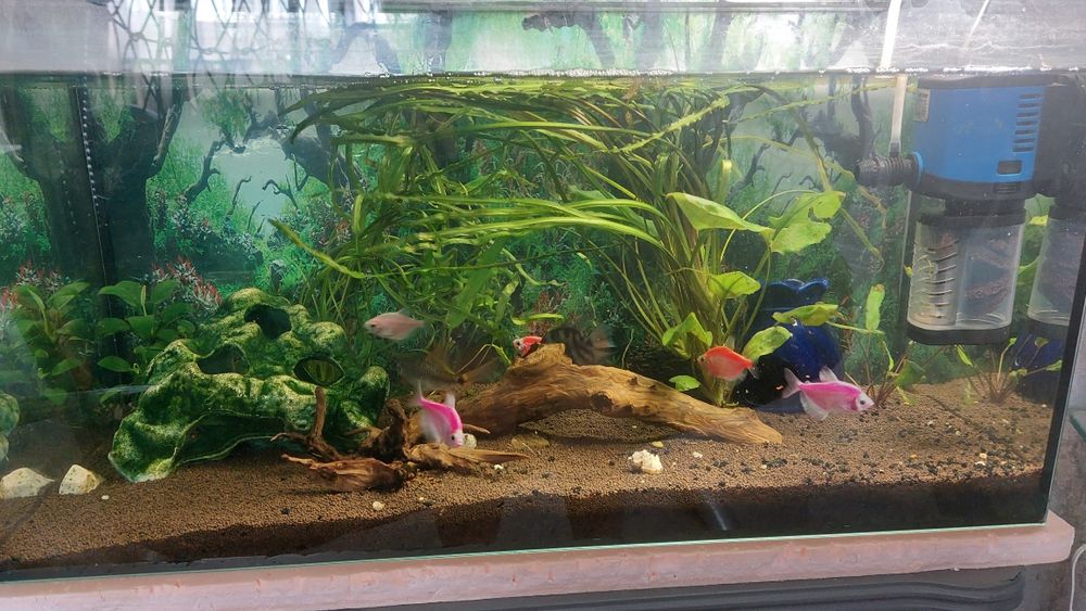 Продам аквариумы