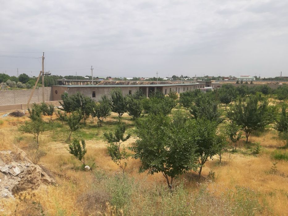 Ер сотилади (тайер бинолари хам мавжуд) 1 гектар