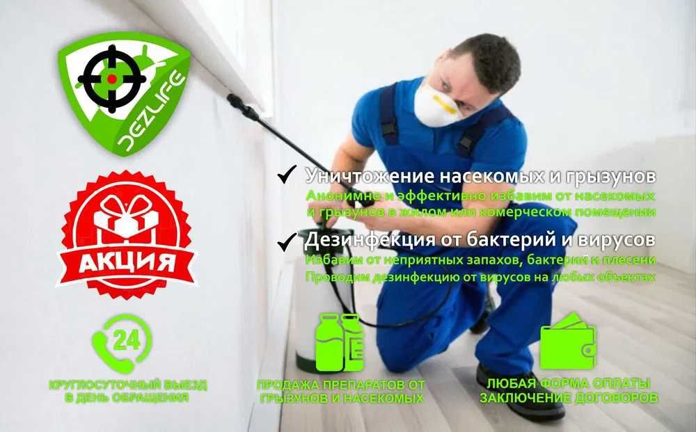 Дезинфекция избавим уничтожим блох клопов тараканов крыс ос жуки паук