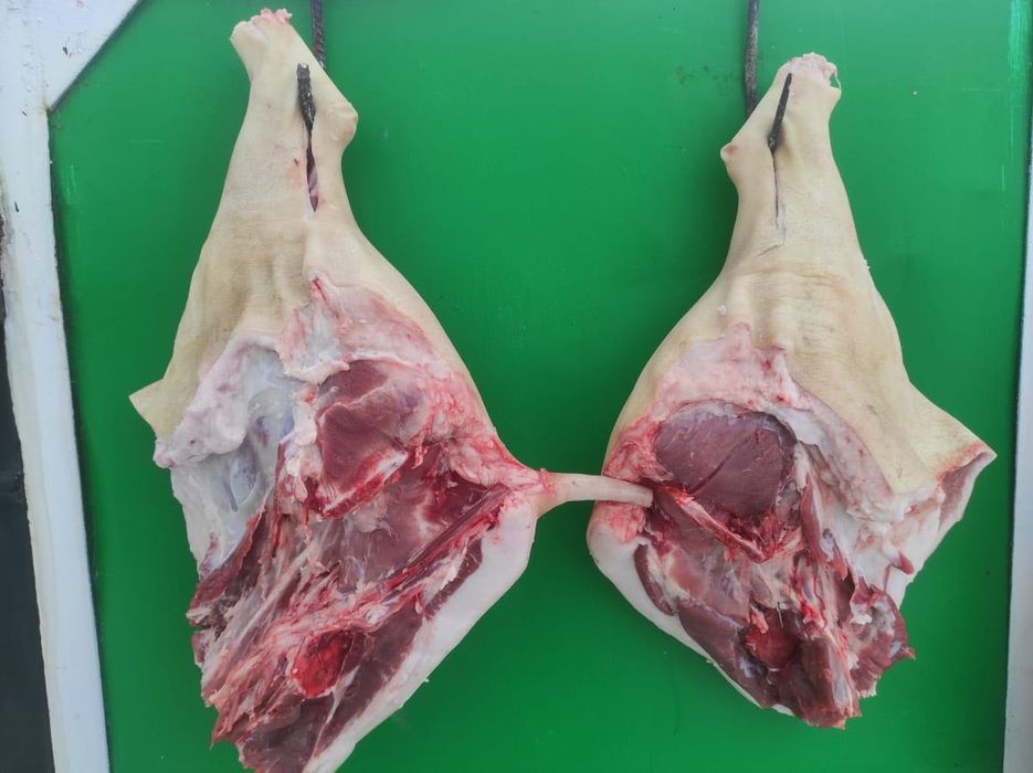 Продам мясо (свинина)