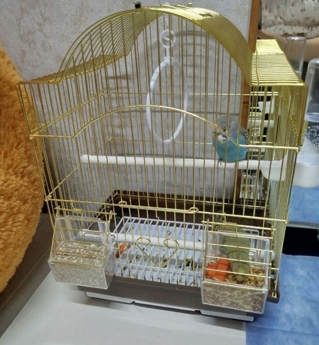 Клетка для попугаев