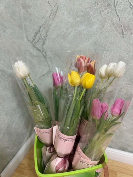 Продаем тюльпаны