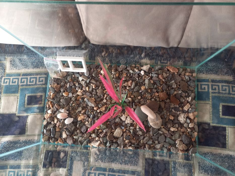 Продам аквариум 70л