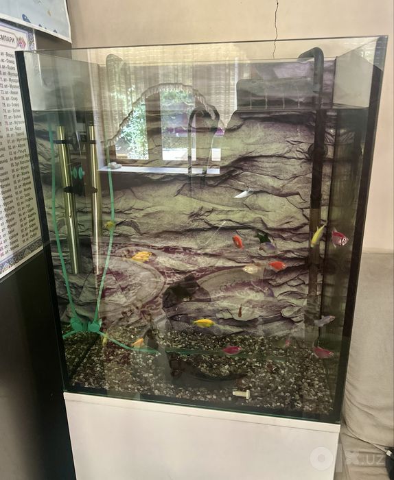 Akvarium sotiladi