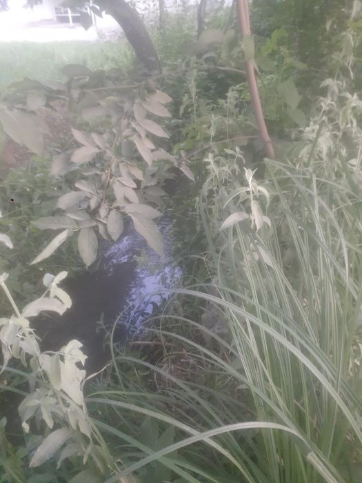 Ер сотилади 7 сотох Денов тумани (эски масква калхоз)