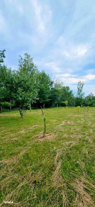 Casă de Vacanță Teren 2.952 mp Cerna Vaideeni Jud  Vâlcea 70.000 E