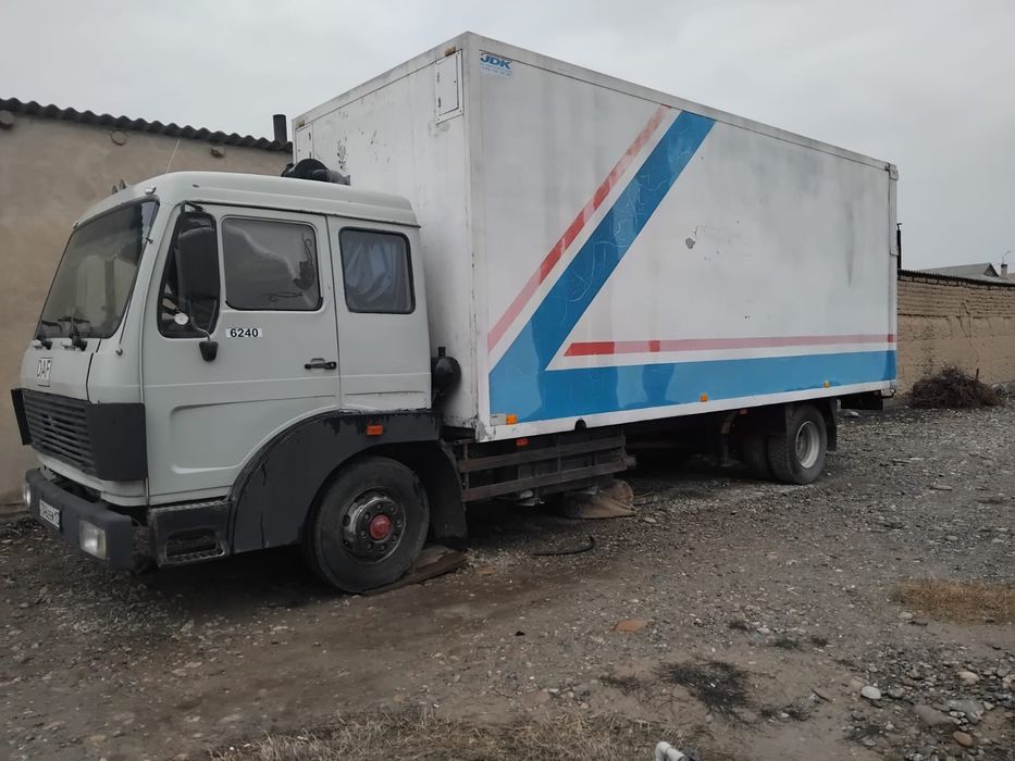 Одиночка даф сатамын