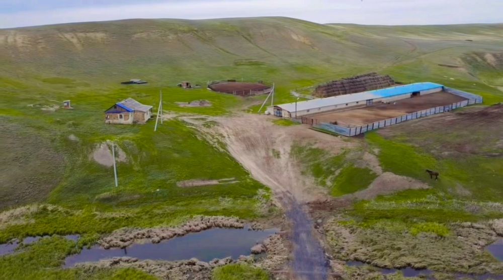 Продам Крестянское Хозяйство