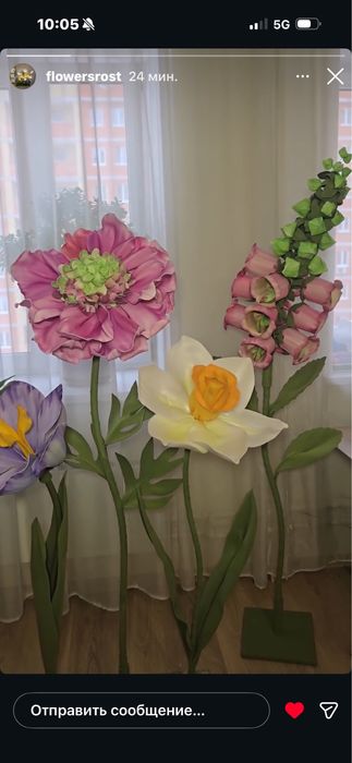 Ростовые цветы, тюльпаны и другие