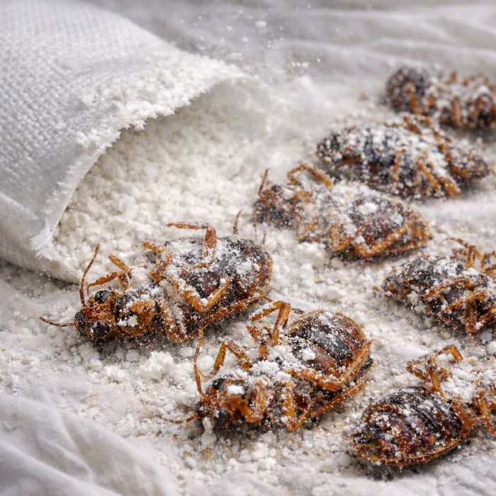 От Клопов от тараканов 100%