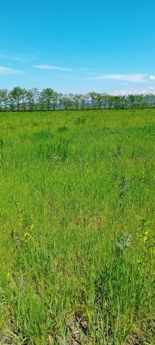 Se vinde teren cu balastieră autorizată!