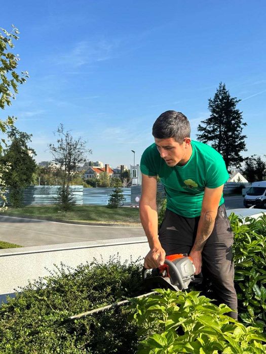 Озеленяване и поддръжка