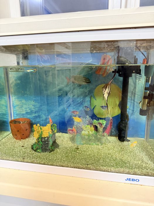 Продам аквариум 50 л