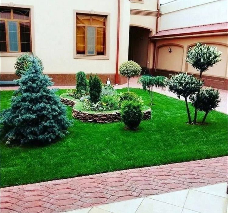 Рулонный газон газон уруг екиш хизмати