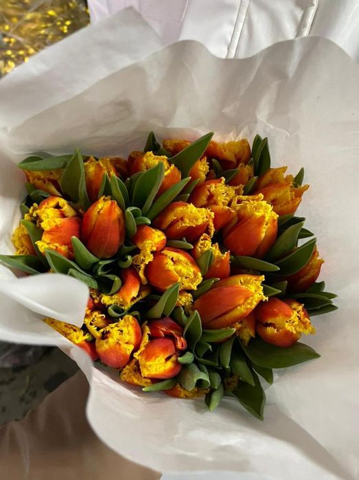 Тюльпаны оптом от 420 тенге