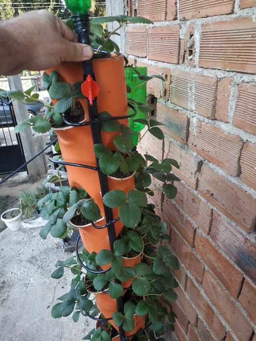 Тръби ( Кули ) за вертикално засаждане ягоди.