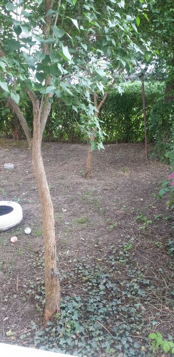 Apartament de vanzare