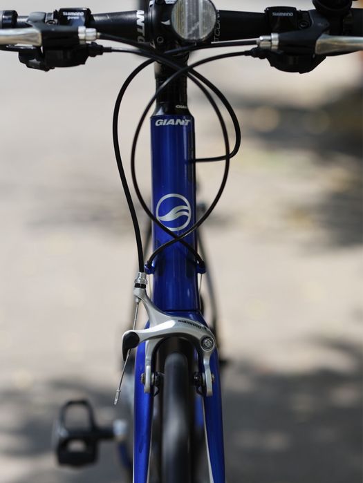 Giant Rapid 1 – Cadru Aluminiu/Furcă Carbon (mentenantă premium)