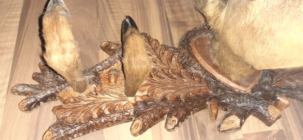 Cuiere vanatoresti panoplie