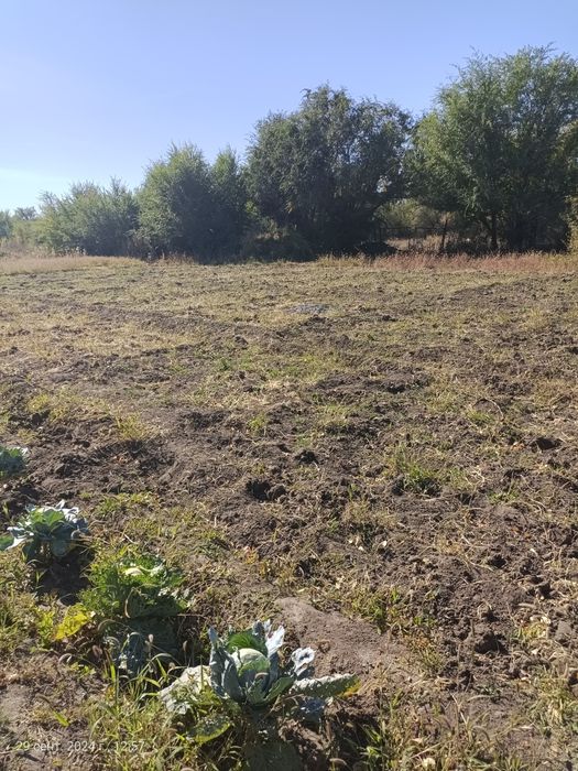 Продам дачу в 22 коллективе