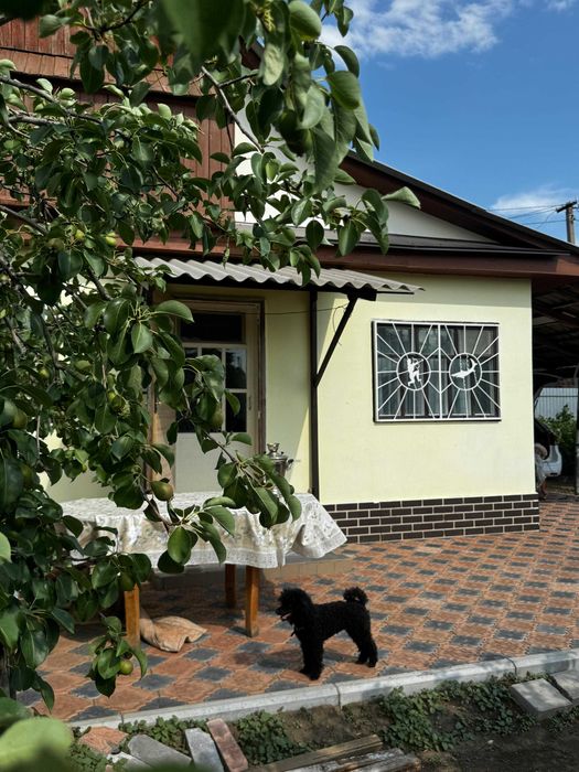 продаю дачный участок с домом в городе, торг.