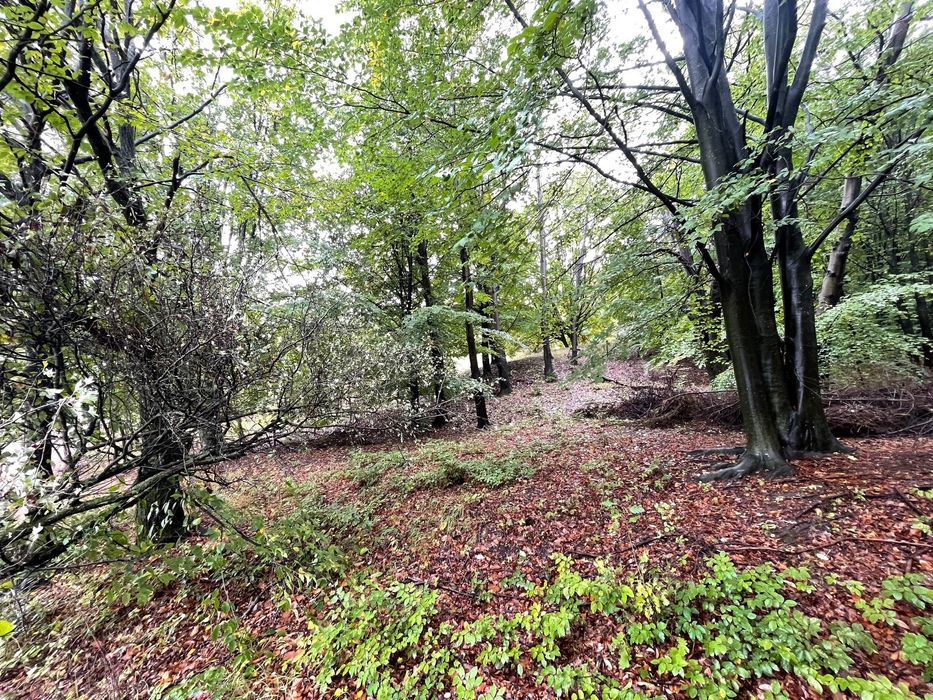 Ocazie Investitie! Teren intravilan in pădure-Poiana Lazului-Breaza PH