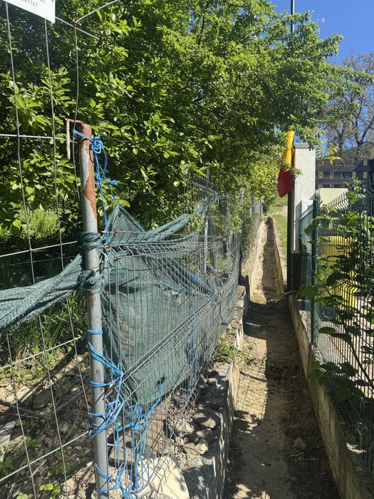 Teren de vanzare Str Plopusor,Alexandru Cel Bun