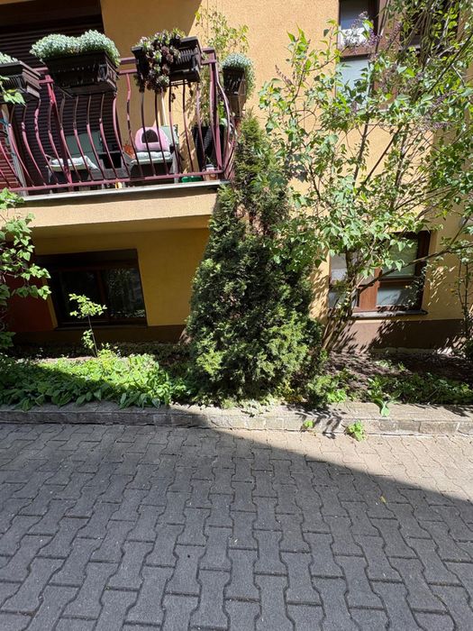 Ap la demisol 3 camere 50mp str Scolii Dambul Rotund! Parcare inclusa